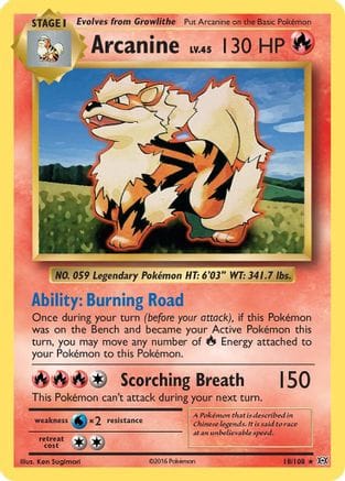 'Pokemon - 'Arcanine 018/108  - Reverse Holofoil XY  Evolutions - Rare