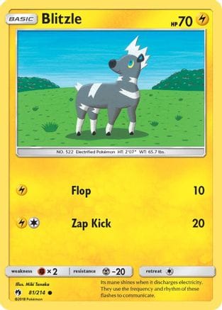 'Pokemon - 'Blitzle 081  SM  Lost Thunder - Common