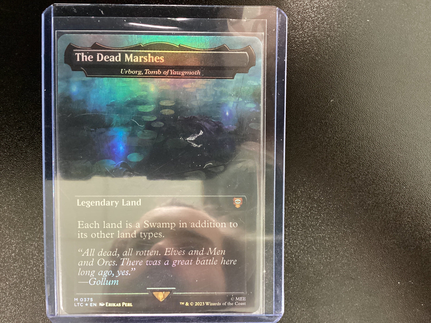The Dead Marshes
