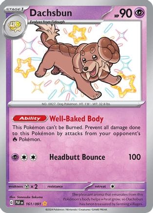 'Pokemon - 'Dachsbun 161/091  - Holofoil SV Paldean Fates - Shiny Rare