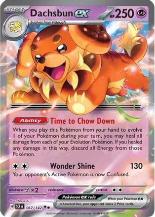 'Pokemon - 'Dachsbun ex 067/142  - Holofoil SV07 Stellar Crown - Double Rare