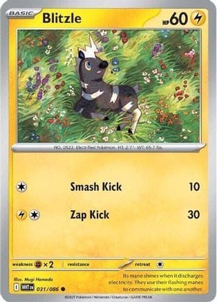 'Pokemon - 'Blitzle 031/086  SV White Flare - Common