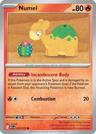 'Pokemon - 'Numel 027/217  - Reverse Holofoil ME Ascended Heroes - Common