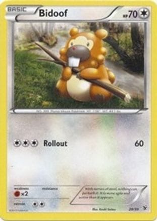 'Pokemon - 'Bidoof 029  Kalos Starter Set - Common