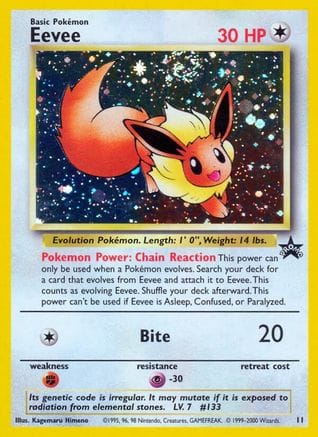 'Pokemon - 'Eevee 011/53  - Holofoil WoTC Promo - Promo