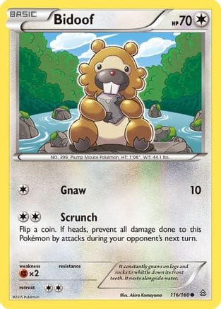 'Pokemon - 'Bidoof 116/160  - Reverse Holofoil XY  Primal Clash - Common