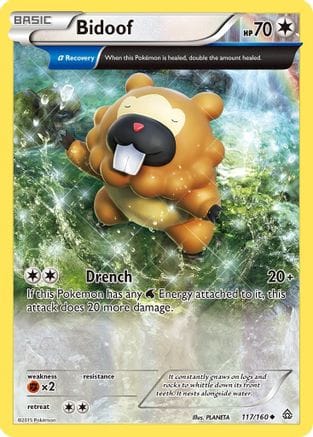 'Pokemon - 'Bidoof (Alpha) 117/160  XY  Primal Clash - Uncommon