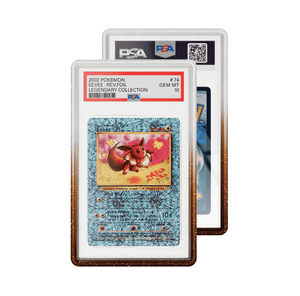 GradedGuard (PSA) Case